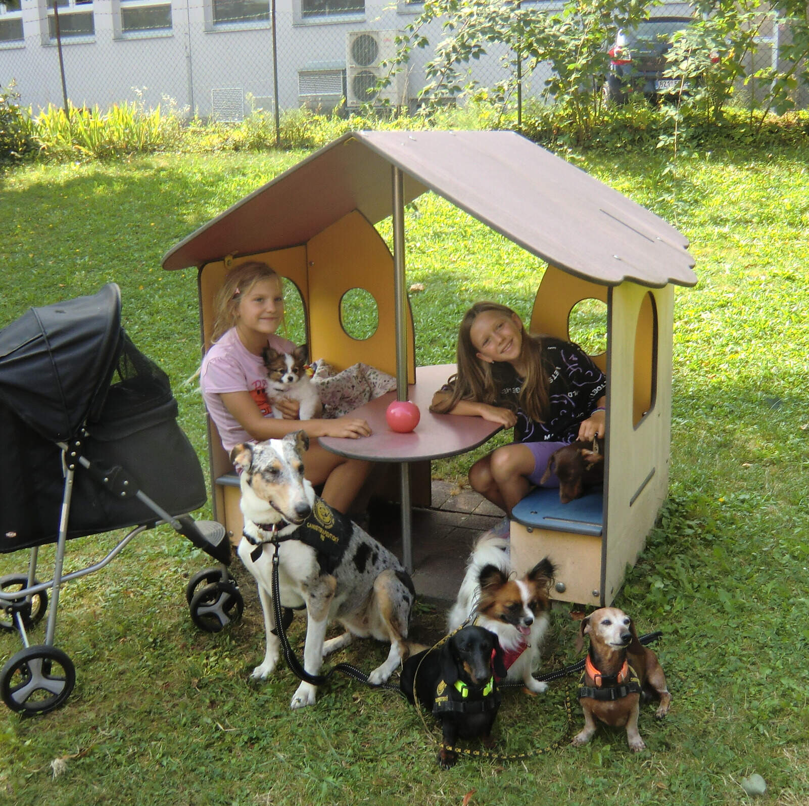 Canisterapie v Klubíčku 2024