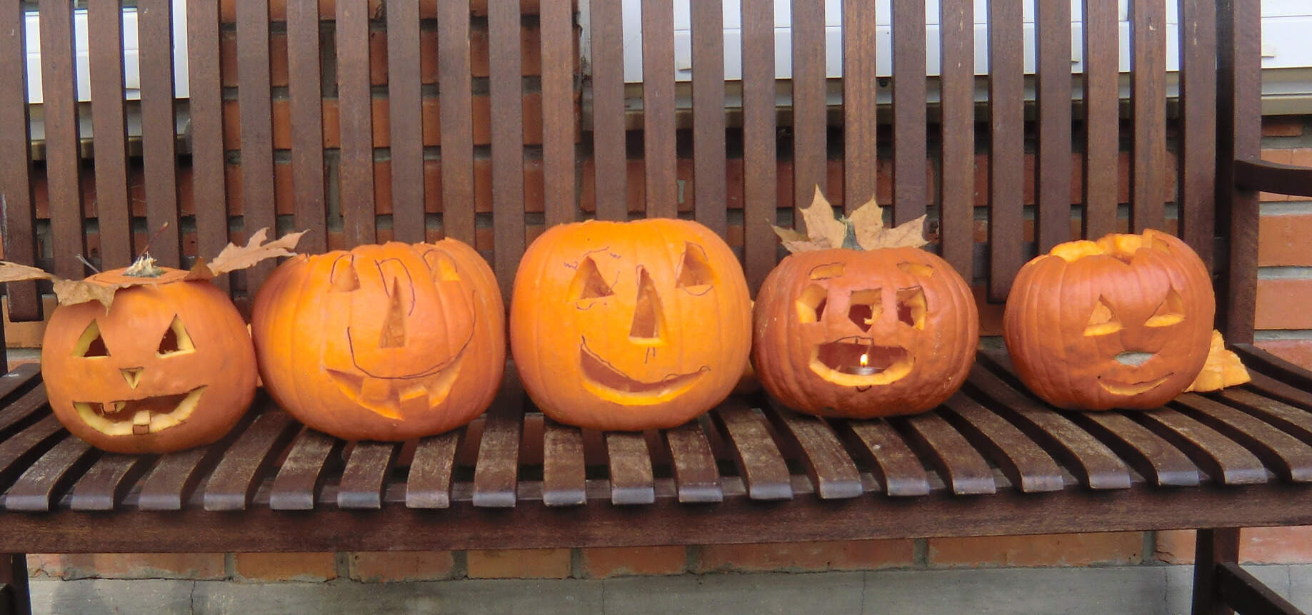 Dlabání Hallowenských dýní 2024